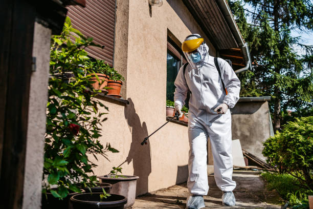Best Pest Prevention Services  in North Shore, VA