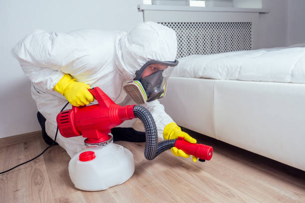Flea Control Services in North Shore, VA